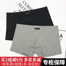 2-pack Zumbi mens pure cotton boxer briefs Solid color middle-aged youth cotton mid-waist mens sports four-pointed shorts