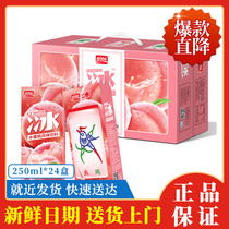 Panpan Peach Juice Beverage Leisure Drink 250mlx24 Box Packing 6 PCs# XB97#