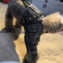 Ugly Pet Clothes Autumn Winter New Solid Tailoring Braces Jeans Dogs Clothes Ugly Ugly Dog Clothes Teddy