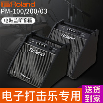 Roland PM100 Speaker Multifunction Folk Ballad Electric Guitar Portable Street Play Network Red Live Sound