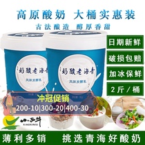 2 Jin halal Qinghai old yogurt specialty fruit fishing special milk bucket boxed small Western cow probiotic acid yogurt