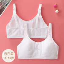 Adolescent girls development underwear 11 students in junior high school drawing cotton pure cotton 15 years old thin development bra