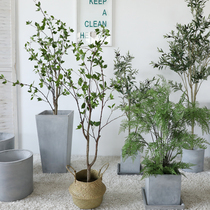 Nordic wind simulation tree green plant Net red potted plant interior decoration living room clothing store homestay landing ornaments