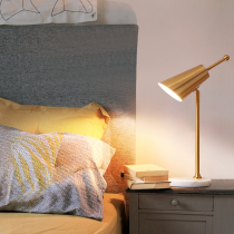 ins Net red Nordic living room bedroom bedside lamp Designer creative personality light luxury modern warm simple table lamp