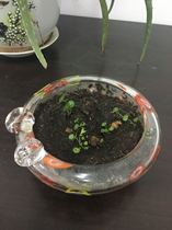  Glass ashtray colorful second-hand thrift nostalgic collection film and television props