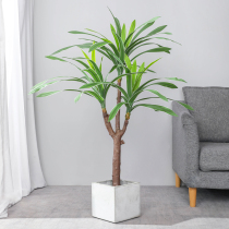 Sophora bonsai tree bonsai Nordic simulation plant sisal potted ornaments landing large indoor landscaping decoration fake green plant