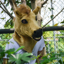 WILDBEAST Halloween new dog horse mask adult animal helmet funny party performance headgear