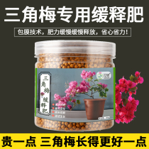 Triangle Plum Special Fertilizer Potted Plant Home Slow Release Flower Fertilizer All Season Pro Blossom Green Leafy Green Leaf Composite Organic Fertilizer