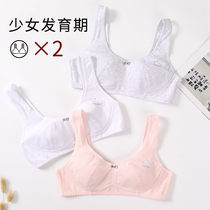 Junior high school students anti-sagging stereotyped teen bra without underwire developmental puberty small vest underwear cotton