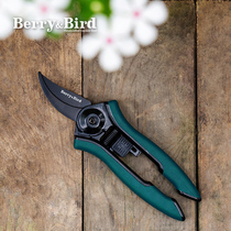 BerryBird Flower Scissors Gardening scissors Floral Pruning Shears Leaves Household Garden Flowers Small potted fruit tree Florist