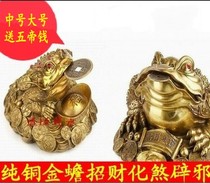 Pure copper toad decoration large trumpet felicitous ingot toad Jinchan lucky Meshach; And evil spirits