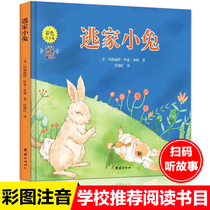 Escape Home Small Rabbit Plotter note version 1st grade reading extracurbical book 3 children early childhood teaching books children plotbook reading kindergarten baby stories books 0-2-3-4-6-8 year old foreign award-winning classics