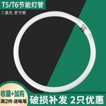 t5t6 ring tube 22w28w32w40w55w Three primary color energy-saving round tube ceiling lamp Four-pin fluorescent lamp