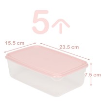 Packed fruit box portable out food ingredients preservation box anti-odor school office net red dormitory storage transparent