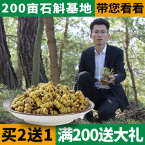 Dendrobium tin powder Nobile maple bucket fresh strips Dried strips Zhejiang dried flowers Tea rice Dendrobium gift box Dendrobium flower premium seedlings