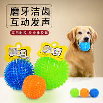 Dog toy small dog resistant to bite the sound ball puppies Teddy Bears Bear molars toys Golden Mao Satsuma big dog toys