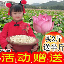 New lotus seed dry goods no heart Xiangtan jujube silver fungus Lotus seed dry goods Premium Lian Zi new goods non-lotus seed heart