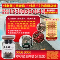 High content of Philippine Leech freeze-dried powder Leech Leech Leech Leech Leech Leech peptide non-double naotong non-Heidi factory