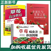 Christmas Red With Berries Star Strawberry Cultivation Manual Strawberry Cultivation Strawberry Pest Treatment Picture Book Full Color Version Strawberry Cultivation Technology Books Strawberry Nursery Technology & Anniversary Cultivation Management Technology Books