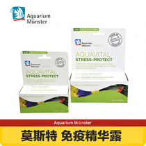 German Moster immune essence Lumester Vitamin Water water quality stabilizer angelfish Egyptian water