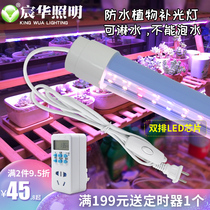 Chen Hua LED plant light indoor household Full Spectrum formula seedling multi-meat color light Supplement Growth Light waterproof