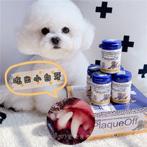 Bubble pet Proden Bole Dan dog scum tooth cleaning to Tartar calculus deodorant 40g