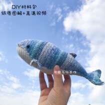 Long Ma Tsai hand-made wool crochet doll cute whale weaving material bag