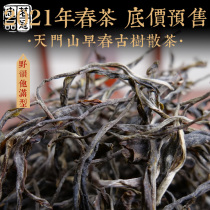 2021 Spring Tea Yi Wu Tianmen Mountain Early Spring Ancient Tree Scattered Tea Yunnan Puer Tea Raw Tea in bulk 500g