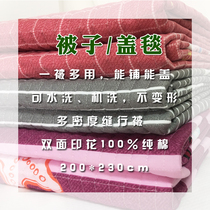 Four Seasons Multi-functional Pure Cotton Dual Use Machine Wash Encrypted Quilted Quilted Quilt Bed for Mat Mat