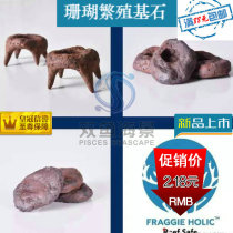 AS coral breeding base Base Leather button SPS Branch breaking seat T-shaped four-legged horoscopes Fuji brain donut seat