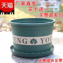 Chunky Galen flowerpot extra large plastic pot Galen pot clearance potted green flower pot