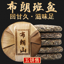 (5 cakes for sale)Dingpu Tea 2017 Puer Tea raw tea cake tea Menghai Brown Mountain ancient Tree tea Banpan Laozhai