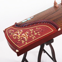 Xu Jiayin mahogany private custom guzheng playing solid wood paulownia guzheng point gold que national musical instrument