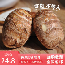 2021 now dig fresh taro small moat artichokes betel nut taro taro taro 5 and 5 catties for the taro.