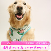 Summer Colour small vest Gold Maute teddy pet breathable cartoon vest anti-dirty and light and thin pet clothes