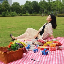 Picnic mat Spring outing moisture proof mat Picnic cloth Outdoor portable folding picnic Oxford cloth outing thickened ins wind