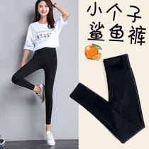 Short subs 80% shark skin whipped bottom pants woman outside wearing thin spring autumn Summer 50% Strong pressure yoga Barbie pants