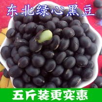 Northeast Black Bean Heilongjiang Farmhouse Self-produced Green Core Black Bean Medium Grain Green Heart Black Bean Green Rinus Upi Bean 5 Catty