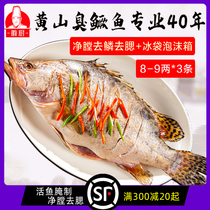 (8 two * 3) Huangshan smelly mandarin fish Anhui specialty authentic Huizhou kitchen smelly mandarin fish semi-finished fresh food