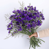 Yunnan natural air-dry bouquet Dont forget I flowers big bouquet Family flower arrangement Decorative Pendulum base straight hair