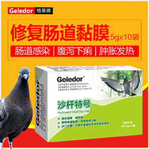Gleride Dove Drug Ladilute Water Poop Salmonella Bird drug E. coli phage pigeon drug big all-common disease