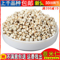 Guizhou Quality Selected Small Miscellaneous Grain Farmhouse New Goods Pearl Barley Ringring Powders Tears Rice Rinn 500 gr