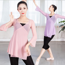 Classical dance practice uniform female adult body rhyme gauze modern dance folk dance costume Chinese Dance Dance suit