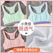 Anfiya pure color cotton I-shaped vest without steel rim comfortable sports vest girls underwear