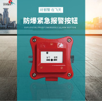 Fly Day Explosion Protection Emergency Alarm Button Oil Depot tank Area High Speed Railway Electric Power Changing City Pipe Gallery Chemical Plant