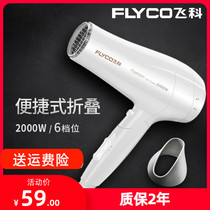 Feike FH6232 electric hair dryer female household foldable high-power dormitory students do not hurt hair salon male mute