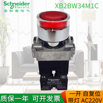  Schneider illuminated button XB2BW34B1C XB2BW34M1C AC220VDC24V RED illuminated button