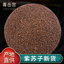 New Goods Purple Suzi Purple Suseed 500g Northeast Oil Suzi Barbecue Seasoning Mooncake Filling soy milk