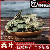 Mulberry leaf 50 gr Chinese herbal medicine frost mulberry leaf winter mulberry leaf dry mulberry leaf natural mulberry leaf tea Chinese herbal medicine shop