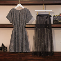  Big woman high-end plus size womens summer clothes new net red thin suit fat sister dress mind two-piece suit